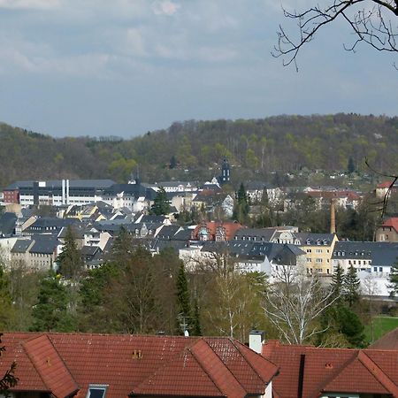 Appartement Urlaub Und Arbeit In Waldheim Extérieur photo